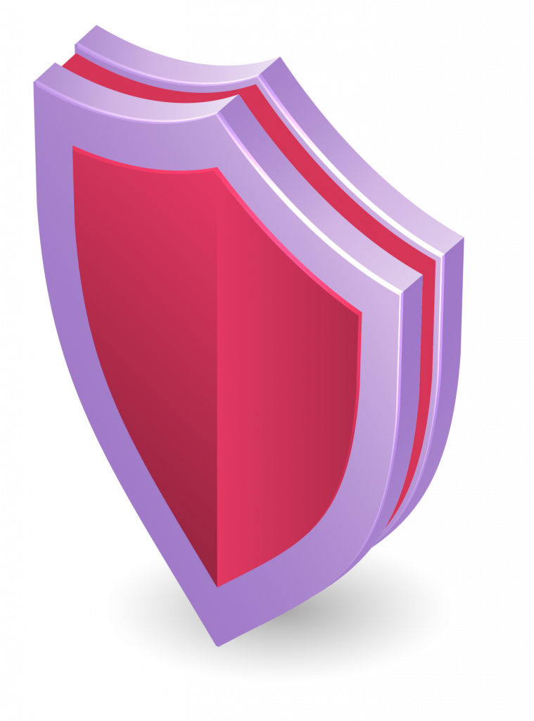 Cyber Security Shield