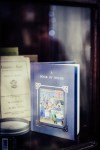 Little Lost Bookshop_Cazeil Creative_070418_0039