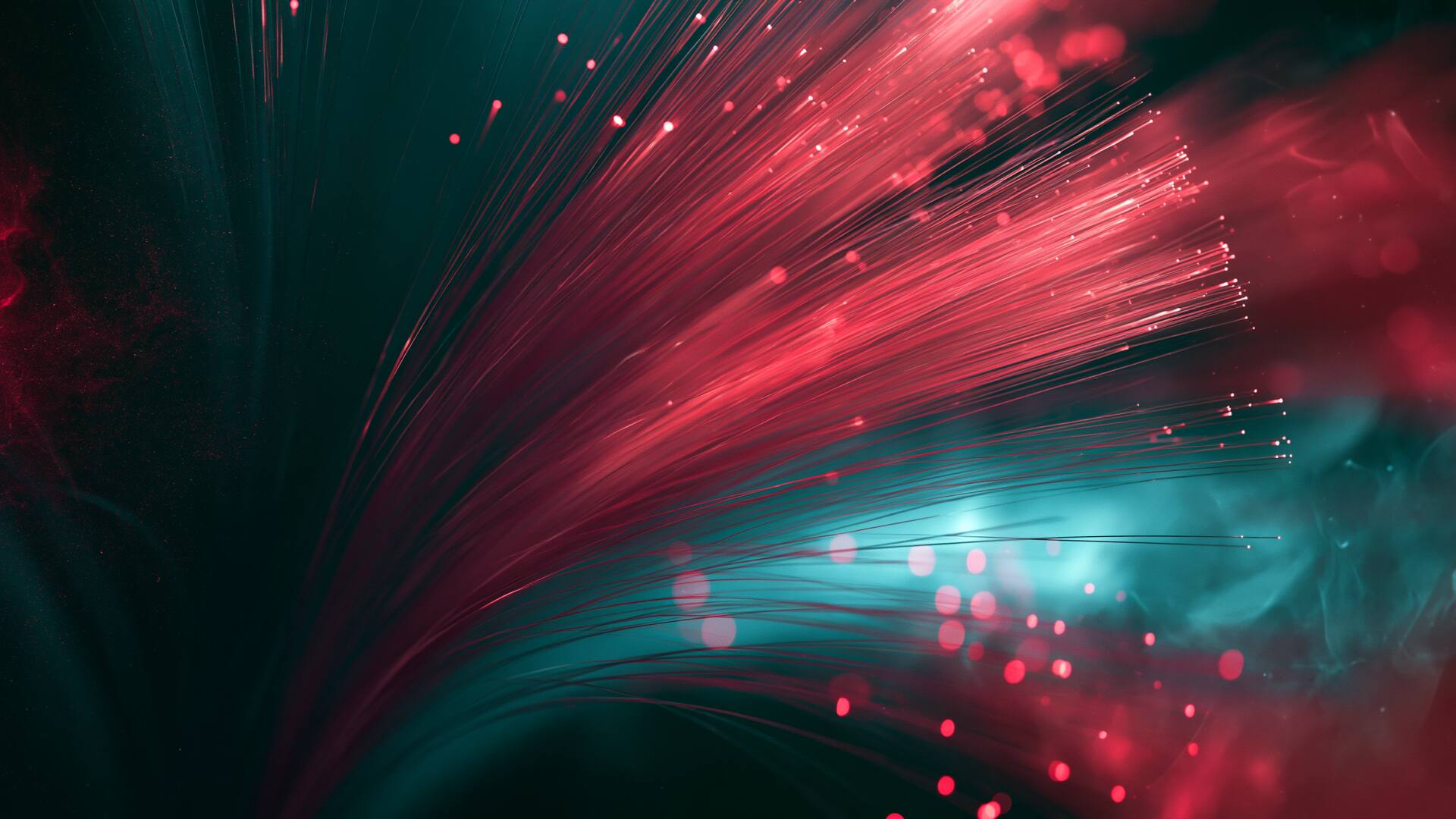 Dark Fibre